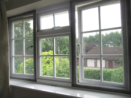 Flat Cats Window Screens in Wokingham, Berkshire